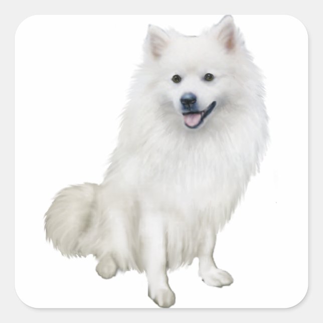 American Eskimo Dog (A) Square Sticker (Front)