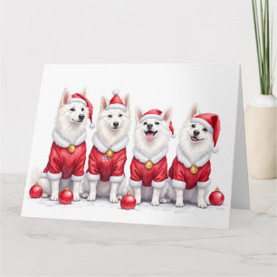 American Eskimo Dog Christmas Dress Santa Hat Card