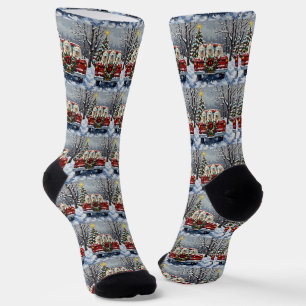 American Eskimo Dog Christmas Red Truck Holiday Socks