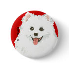 American Eskimo Dog Colour Block