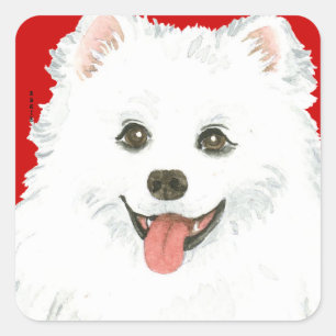 American Eskimo Dog Colour Block Square Sticker