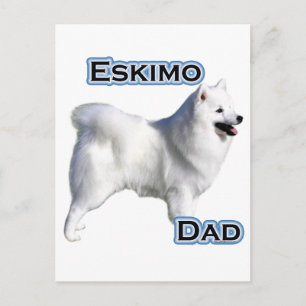 American Eskimo Dog Dad 4 Postcard