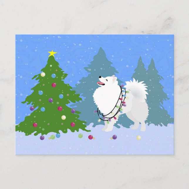 American Eskimo Dog Decorating Christmas Tree Holiday Postcard (Front)