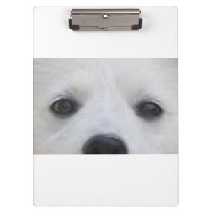 American_Eskimo_Dog eyes Clipboard