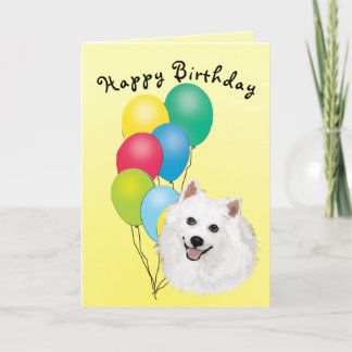 American Eskimo Dog Happy Birthday Card