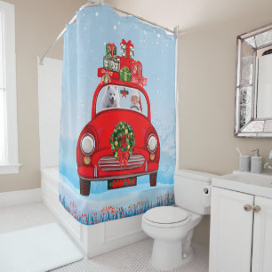 American Eskimo Dog In Car With Santa Claus 