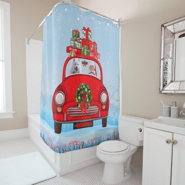 American Eskimo Dog In Car With Santa Claus  (In Situ)