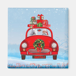 American Eskimo Dog In Car With Santa Claus Magnet