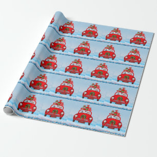American Eskimo Dog In Car With Santa Clause  Wrapping Paper