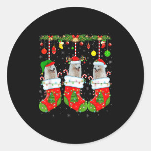 American Eskimo Dog In Christmas Socks Funny Dog L Classic Round Sticker