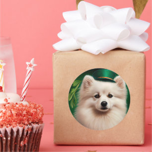 American Eskimo dog in St. Patrick's Day Dress  Classic Round Sticker