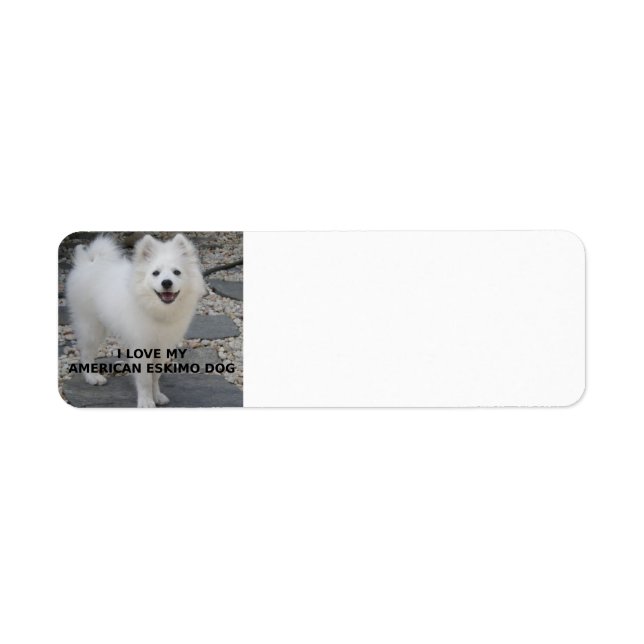 American_Eskimo_Dog_love avec photo (Devant)