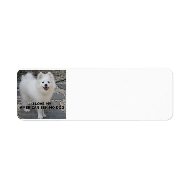 American_Eskimo_Dog_love avec photo (Devant)