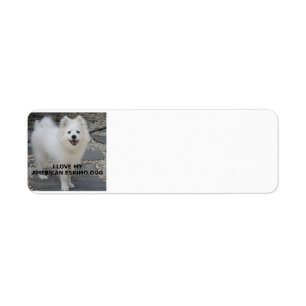American_Eskimo_Dog_love w pic