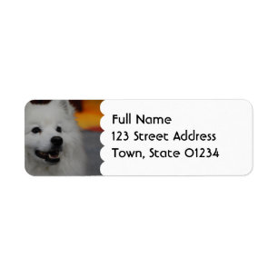 American Eskimo Dog  Mailing Labels
