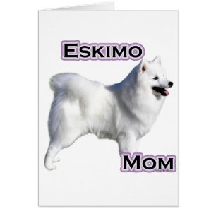 American Eskimo Dog Mom 4