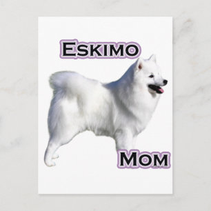 American Eskimo Dog Mom 4 Postcard