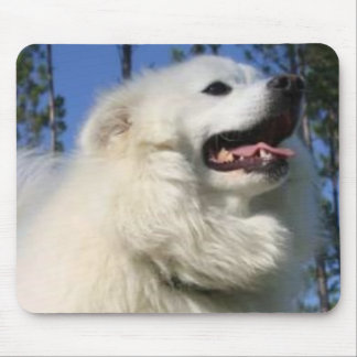 American Eskimo Dog Mousepad