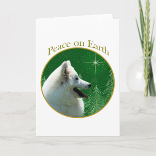 American Eskimo Dog Peace Holiday Card
