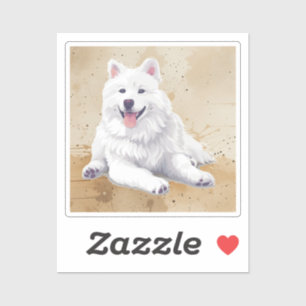 American Eskimo  Dog Pet Animal