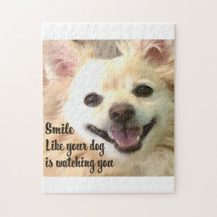 American Eskimo dog smile  Jigsaw Puzzle