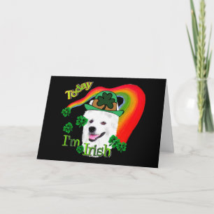 American Eskimo Dog St Patricks Card