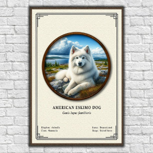 American Eskimo Dog Zoology Series Poster