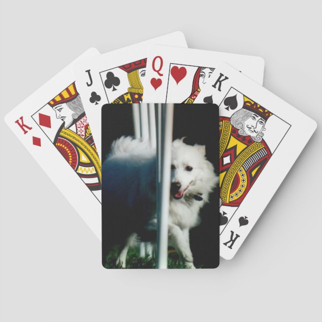 American Eskimo (Eskie) weaving in Shadow Playing Cards (Back)
