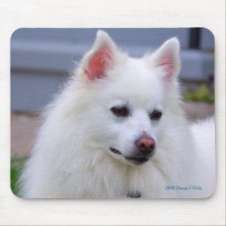 American Eskimo Mousepad