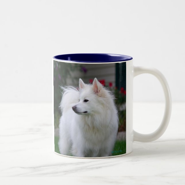 American Eskimo Mug (Right)