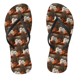 American Eskimo Puppy Autumn Delight Pumpkin Flip Flops