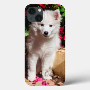 American Eskimo puppy sitting on garden stairs iPhone 13 Case