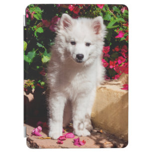 American Eskimo puppy sitting on garden stairs iPad Air Cover