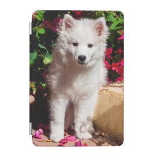 American Eskimo puppy sitting on garden stairs iPad Mini Cover