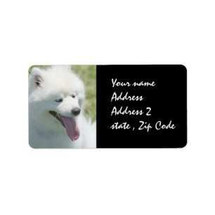 American Eskimo shipping label