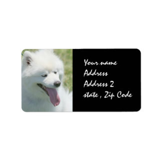 American Eskimo shipping label