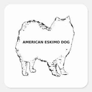 American Eskimo white name silo Square Sticker
