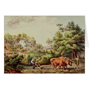 American Farm Scenes
