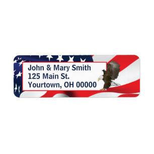 American Flag and Bald Eagle