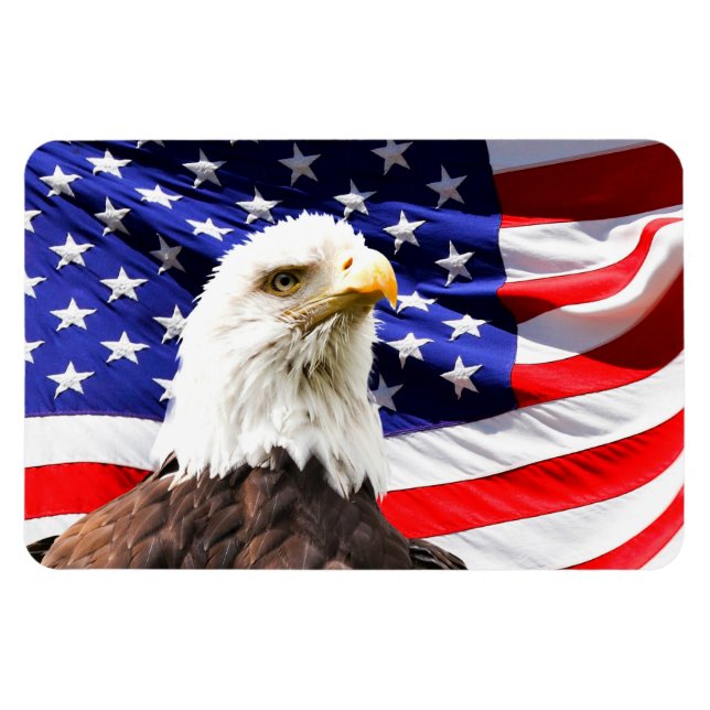 American Flag and Bald Eagle Magnet (Horizontal)