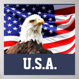 American Flag and Bald Eagle Poster