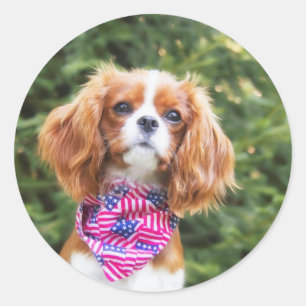 American Flag Cavalier King Charles Spaniel Puppy Classic Round Sticker