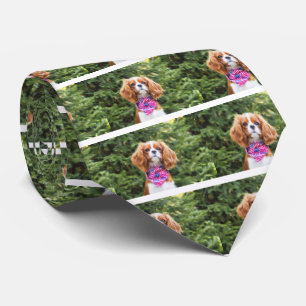 American Flag Cavalier King Charles Spaniel Puppy Tie