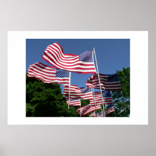 American Flag Display Poster