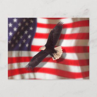American Flag & Eagle Postcard