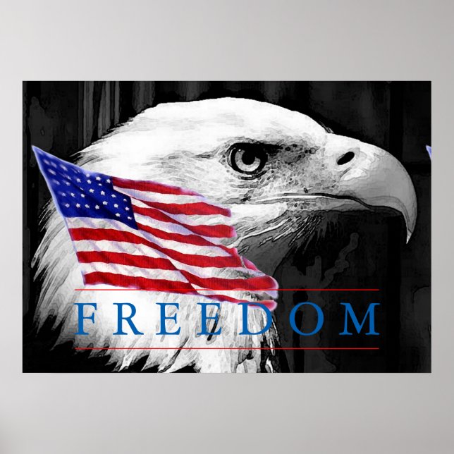 American Flag Freedom Eagle Eye Poster (Front)