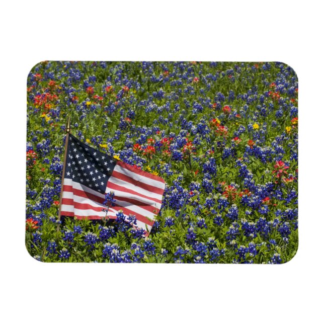American Flag in field of Blue Bonnets, 2 Magnet (Horizontal)