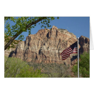 American Flag in Zion National Park I