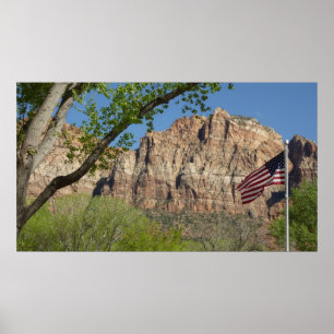 American Flag in Zion National Park I Poster
