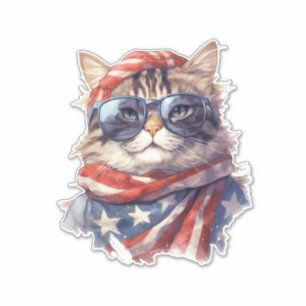 American flag patriotic 4th July independence day
